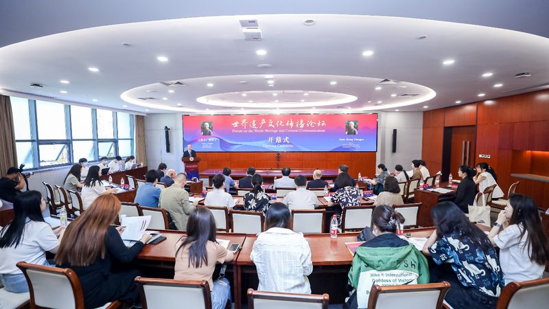 VI设计素材分类解析：全面了解设计元素**