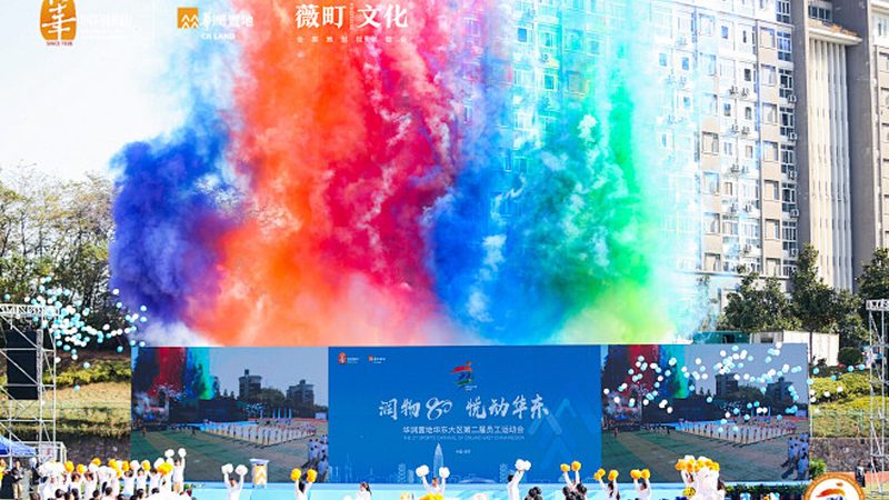 品牌设计流程哪家好