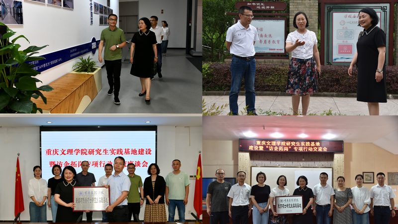 电商平台投放效果分析工具：揭秘其核心价值与应用场景